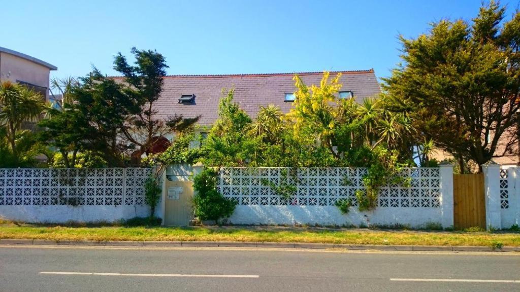 The Black Palms - Fistral Beach New Quay Exterior foto